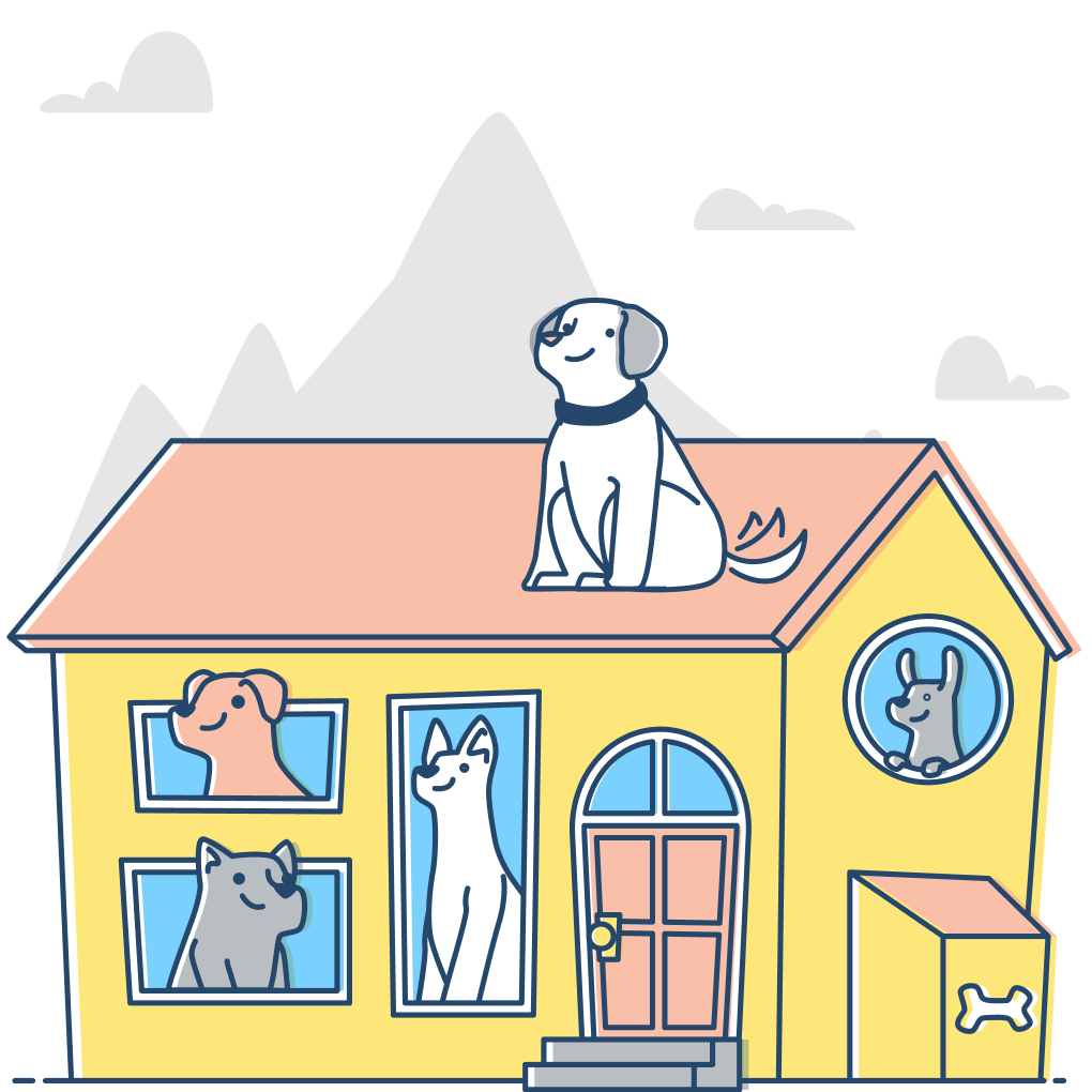 Peluquería para perros