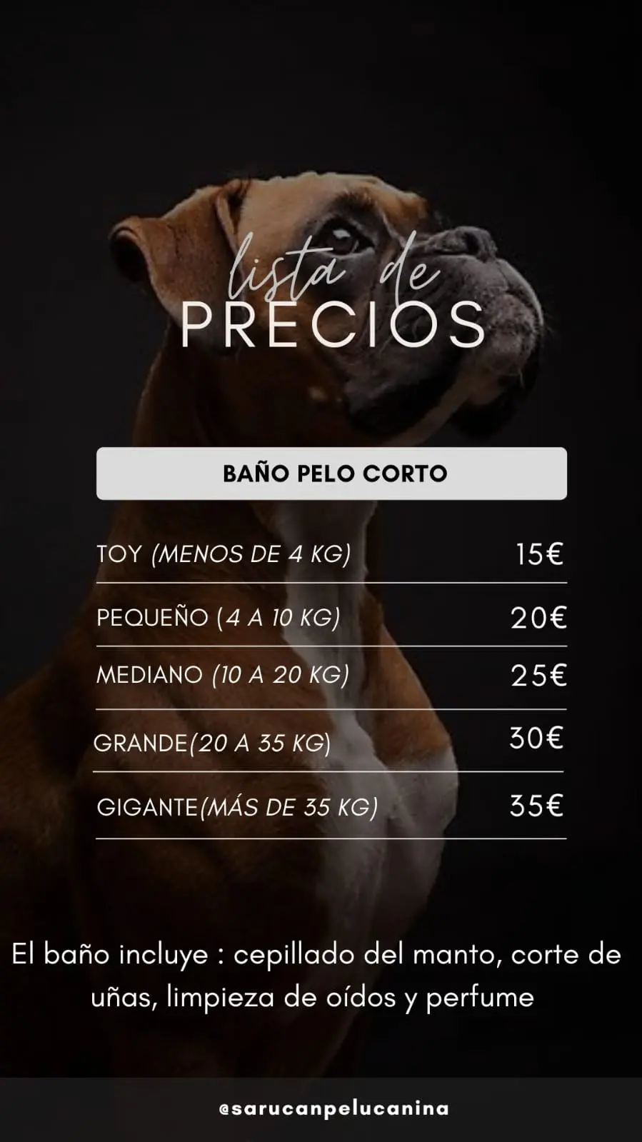 Baño pelo corto precios peluquería canina