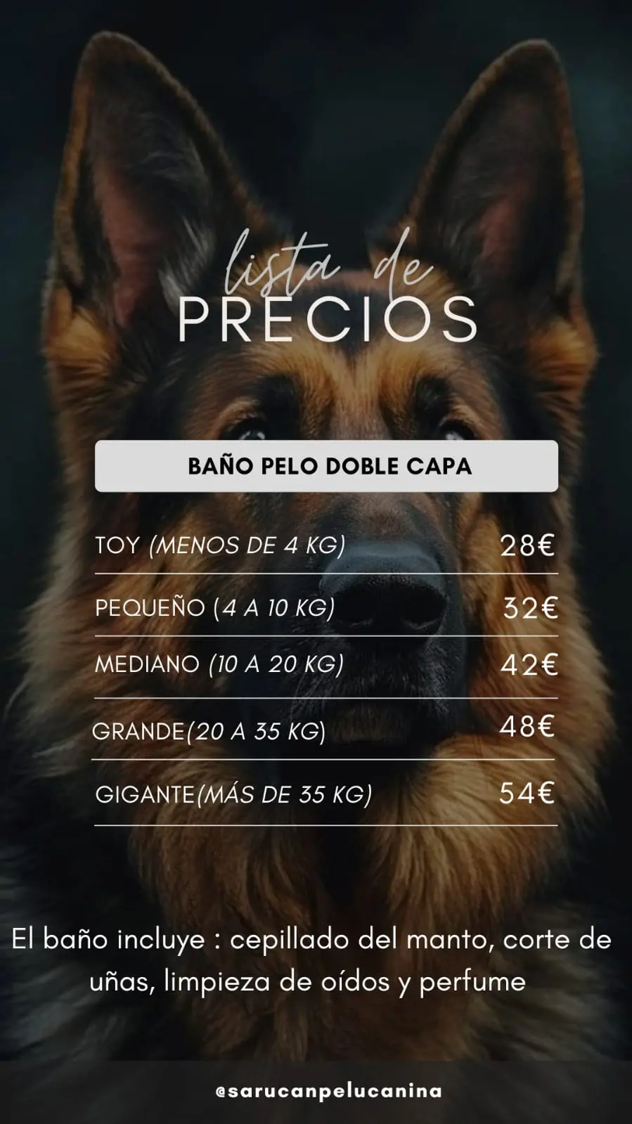 Baño pelo doble capa precios peluquería canina