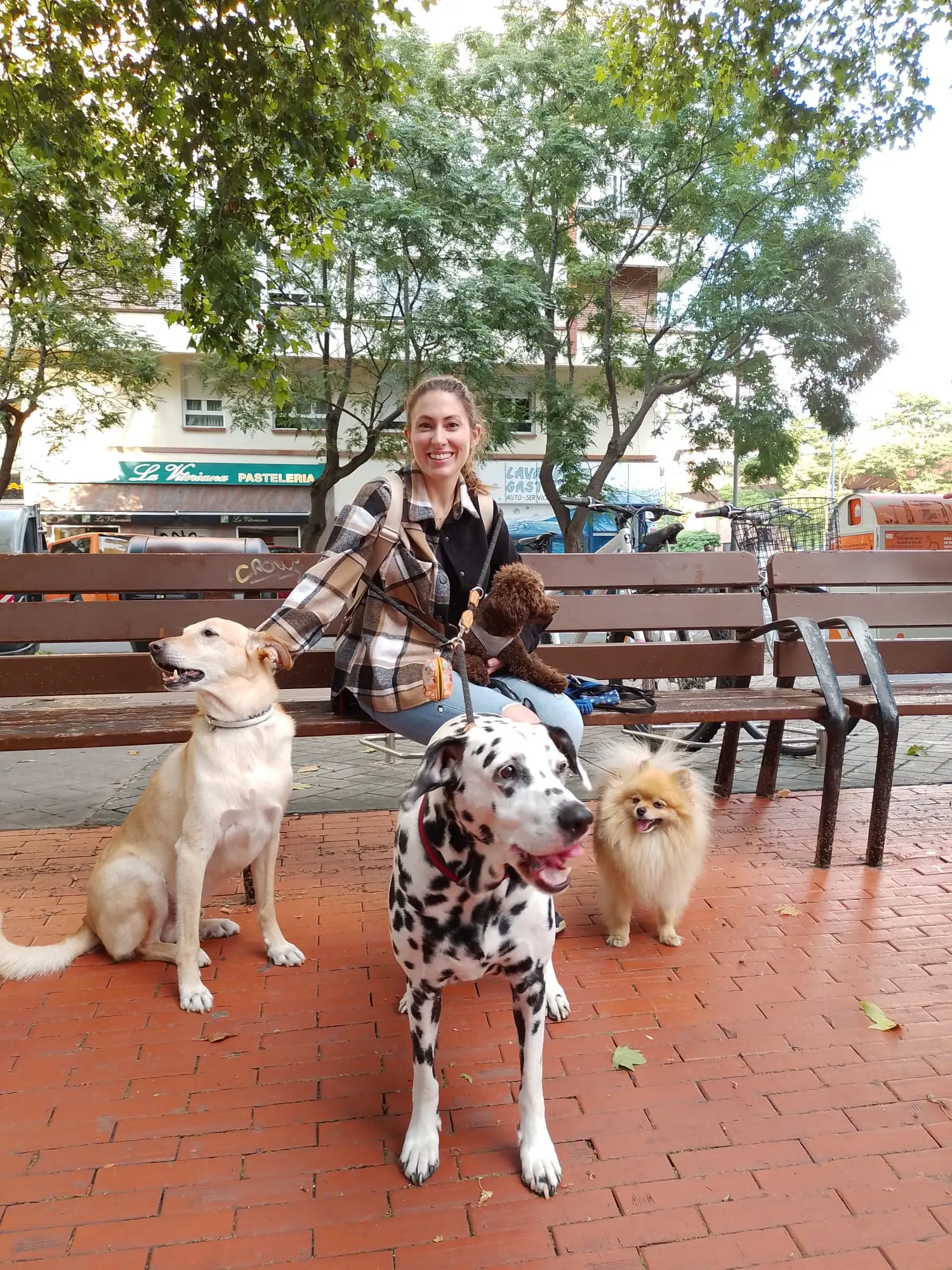 Cuidador de perros en Sarucan
