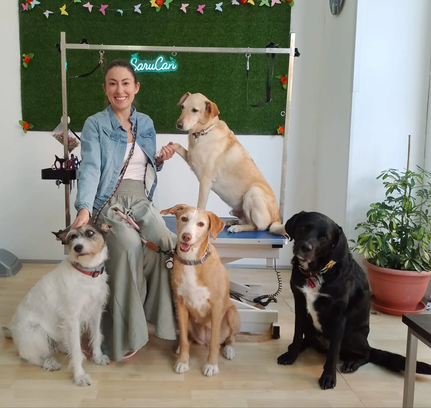 Guardería de perros en Zaramaga