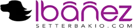 Logo Ibañez