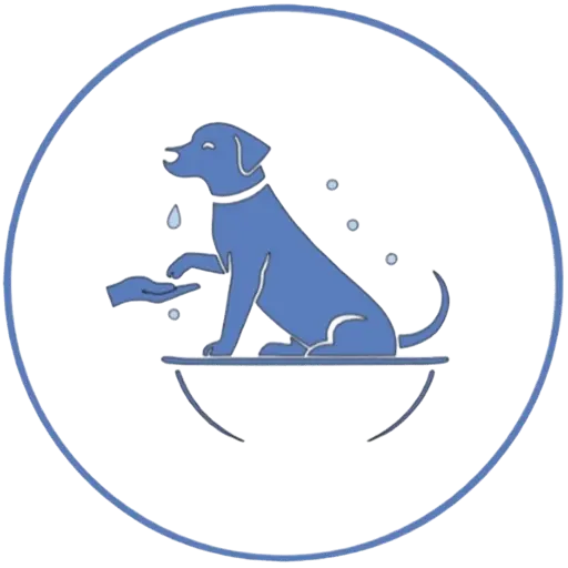 favicon sarucan