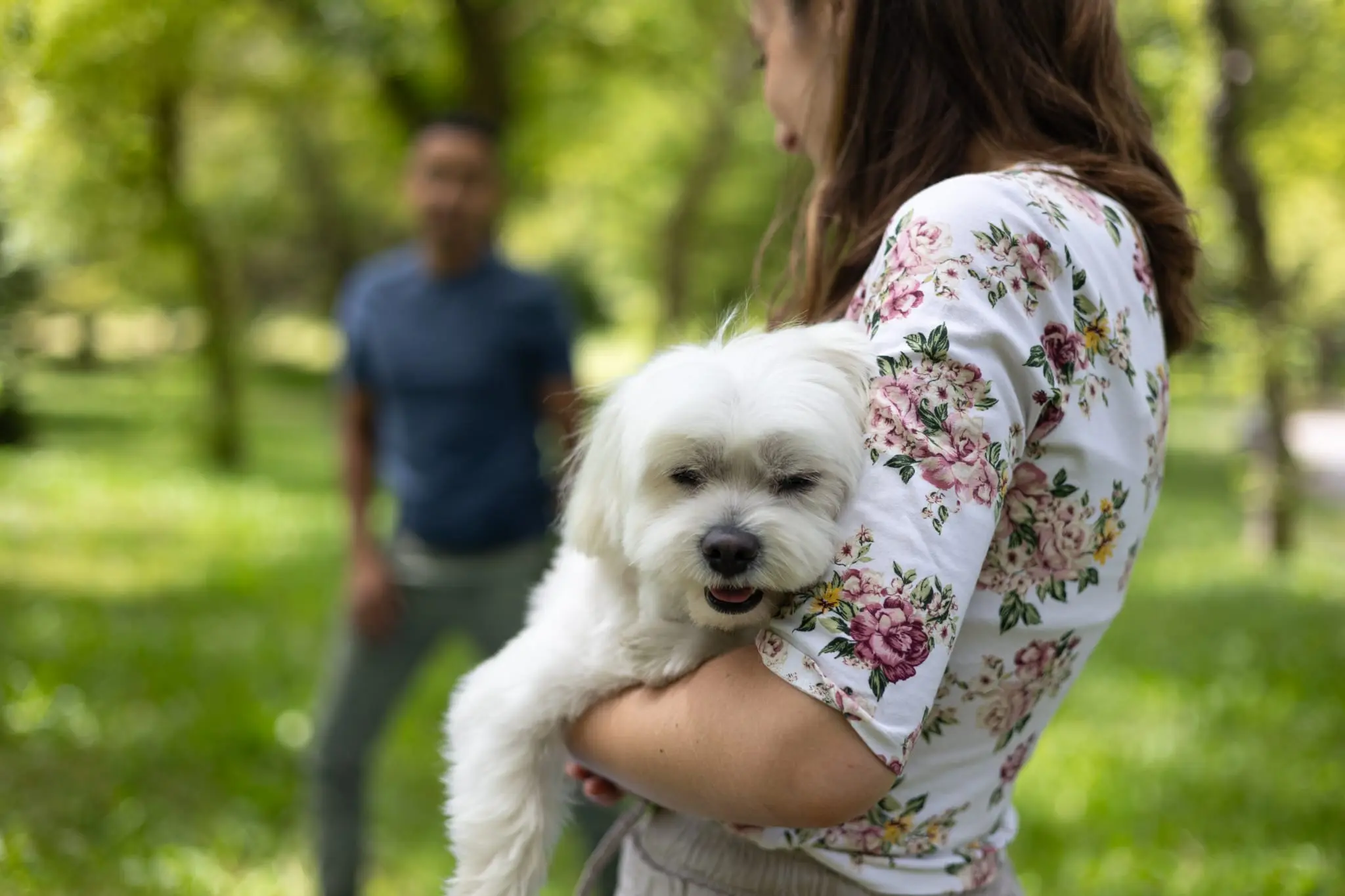 Guardería canina en Vitoria Gasteiz